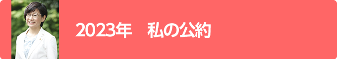 2023年市会議員選挙で掲げた公約